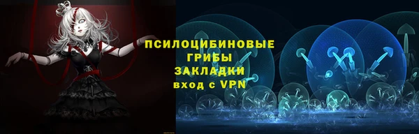 ПСИЛОЦИБИНОВЫЕ ГРИБЫ Аркадак