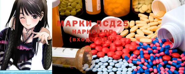 ПСИЛОЦИБИНОВЫЕ ГРИБЫ Аркадак