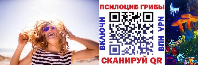 kraken маркетплейс  Шуя  shop официальный сайт  Галлюциногенные грибы Psilocybine cubensis 
